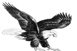 New Freedom Transportation Eagle Logo
